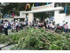 Chọn hàng rào vững chắc để chống lại mưa bão